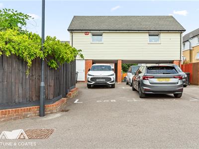 Picture 20